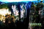 【純玩拼團(tuán)線路6】張家界、黃龍洞、天門山、天子山三晚四日游